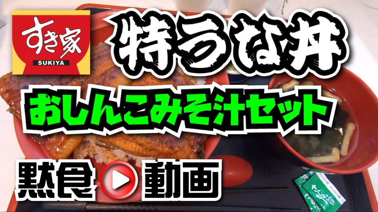 デカ盛り 牛丼 豚丼 丼物 デカ盛りグルメ大盛りサーファーブログ