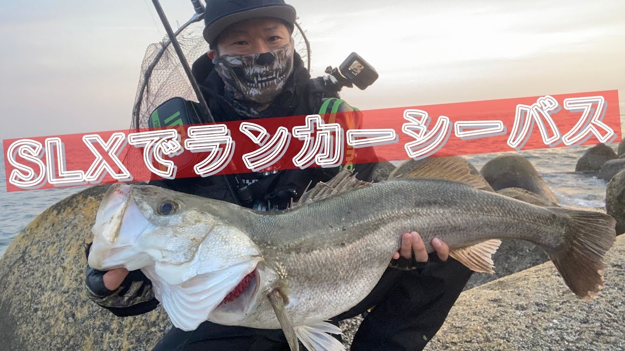 ベイトシーバス ホタルイカパターンでランカーシーバス Youtube