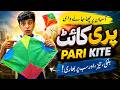 How To Make Tawa Kite #Zaidi Bhai Kite Maker