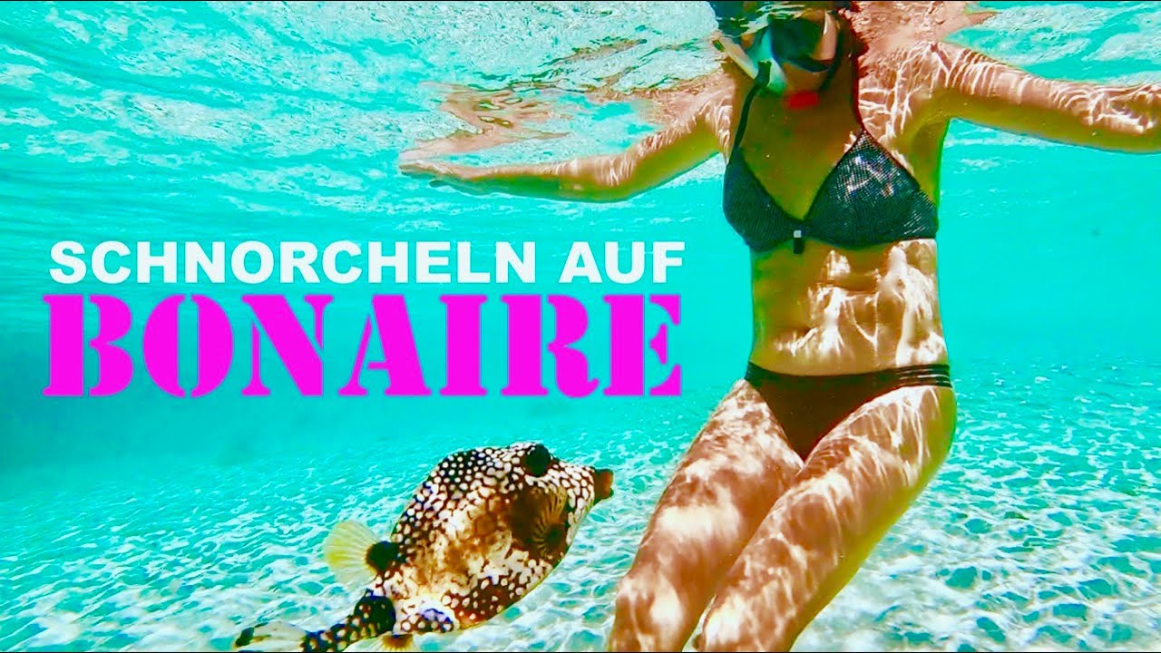 #30 Bonaire: Divers Paradise