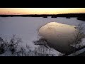 Лебеди на озере Боровно, Окуловский район