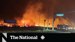 Canadians describe escape from Maui wildfires