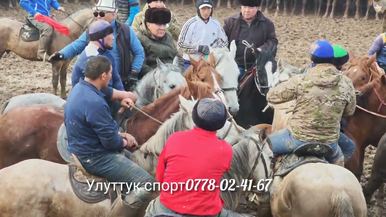 Эргеш балбандын улагында эниш кызыды