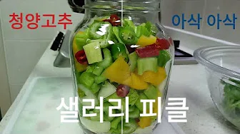 샐러리장아찌