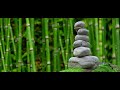 RELAX MIND AND BODY MEDITATION MUSIC FOR ULTRA HEALING  THERAPY..