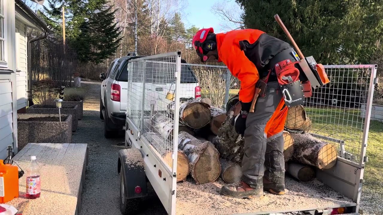  Stihl MS 261 C-M Time to cut some birch firewood about 2.5 cubic meters 🪓🌲🪵🔥🏡🇸🇪