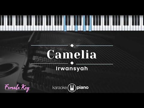 CAMELIA // Irwansyah // KARAOKE DANGDUT KOPLO NADA CEWE ( FEMALE )