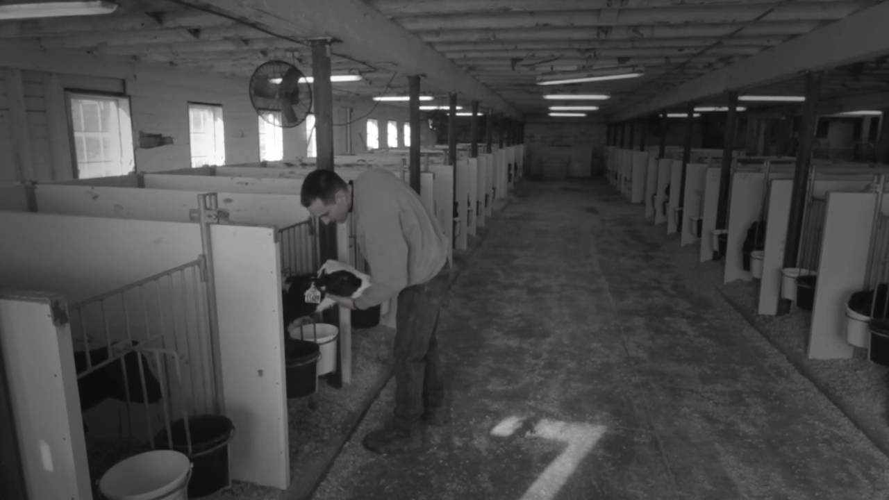 Laurel Brook Farm, East Canaan, Connecticut YouTube