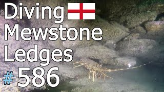 Mewstone Ledges, Plymouth 🏴 (#586)