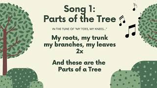 Parts of A Tree Movement Song EFL ESL Preschool Songs
