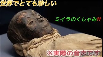 ミイラ Youtube ミイラ Youtube