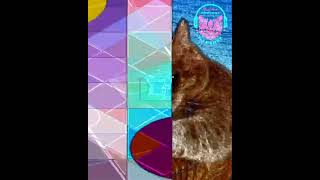 Cat's Empire Track:Too Insistent(Dj BeBeT Remix)Artist:The Doo Location:Odessa
