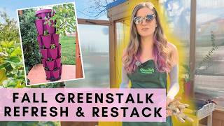 Reviving my Greenstalk for fall & what I'm planting in zone 7!