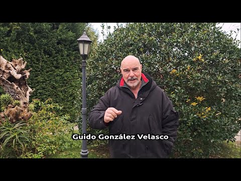 Pinceladas en el olmillo de Sasam&oacute;n en Burgos