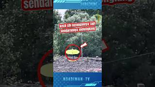 Download Lagu SUARA SENDARANNYA MUDAH BANGET DI INGAT #viralvideo #shortsvideo #trending #layangan MP3