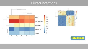 Understanding cluster heat maps