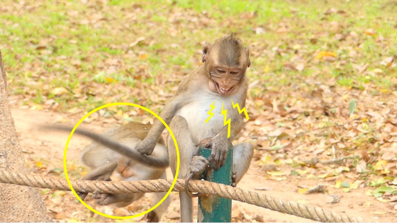 OMG! JANNA Terriify Jumps Leave JODY Scare Alone When Seeing MR MAK Coming.