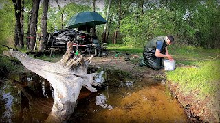 видео: Рибалка на Фідер на Дніпрі. Пішло діло по крупняку! картинка: Рибалка на Фідер на Дніпрі. Пішло діло по крупняку!