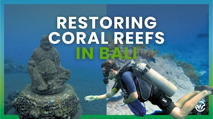 Restoring Coral Reefs in Bali