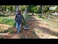Video Image