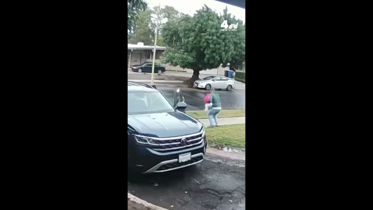 Coyote Attacks Toddler In California Shorts