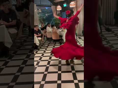 Flamenco Dancer for Hire