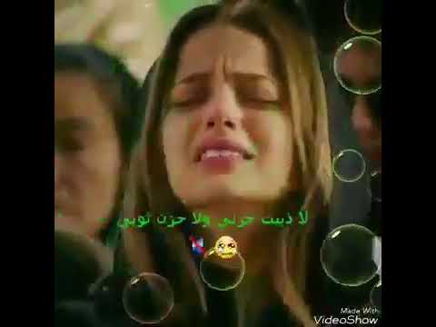 حلات واتساب وين محبوبي حشمت المكابر وين محبوبي