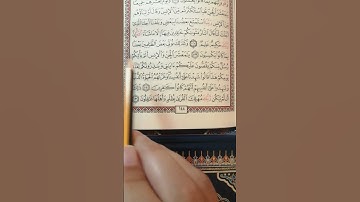 تعليم سورة الأنعام من الآية130 إلى الآية 131