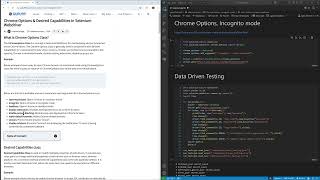 Selenium Chrome Options --incognito --start-maximized