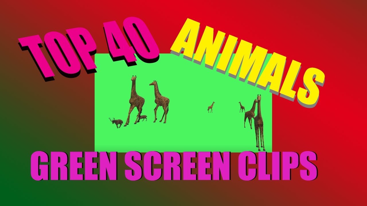 Top 40 Green Screen Animals Animated 3D CGI