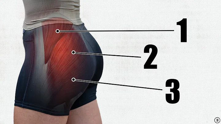 How To Grow Your Glutes (5 BEST Exercises + Gluteal Amnesia Myth Busting) - DayDayNews