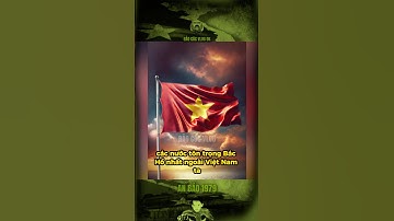 CÁC NƯỚC TÔN TRỌNG BÁC HỒ NHẤT NGOÀI VIỆT NAM TA… #bảocóc #bảocócvlog #baococvlogboss #shorts #xh