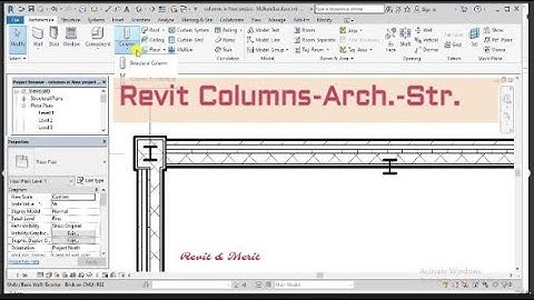 video4 Revit Columns-Gridlines-Levels-Pinning