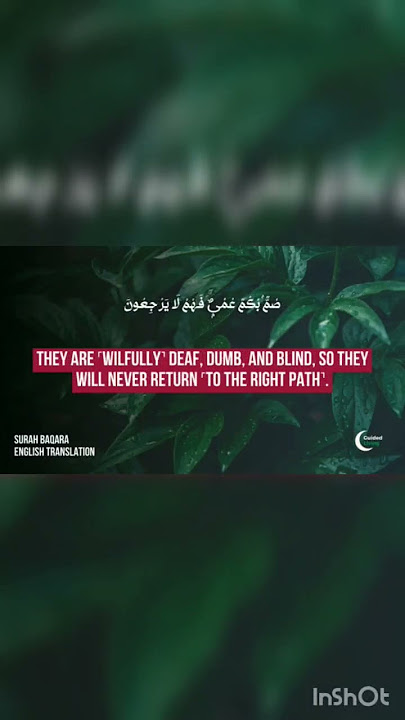 Sumun Bukmun Umyun Fahum La Yarjioon - Dua - Sheikh Sudais - English Translation #quranrecitation