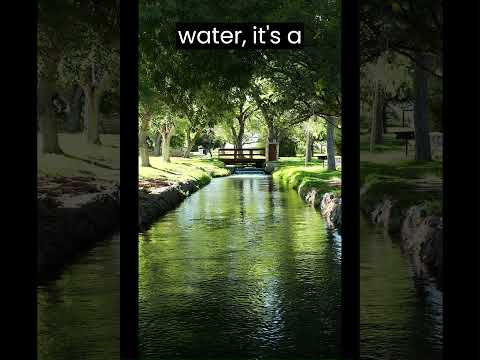 Welcome to Balmorhea State Park