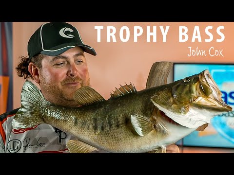 3 Stages of Sight Fishing for Bass - John Cox