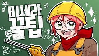 비세라에 대한 소소한 팁들 알려드릴게요