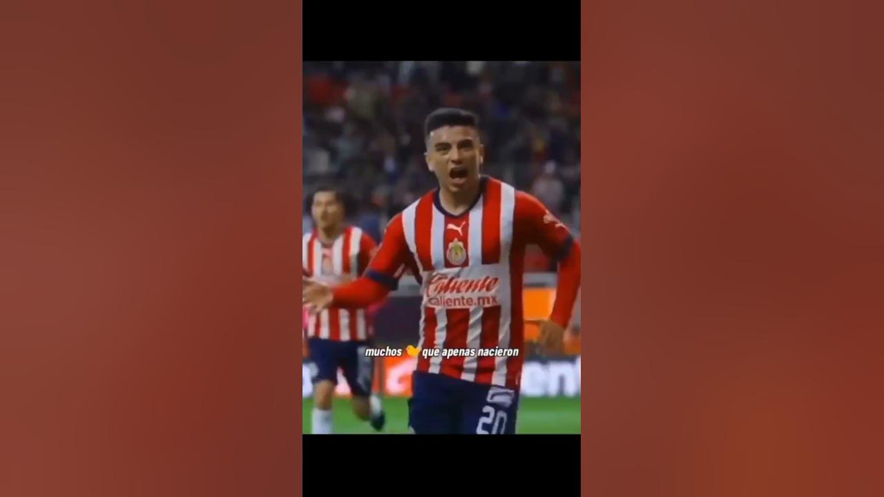 Muchos pollos que apenas nacieron 💛💙🦅 soy tu padre a la final!! vamos por la 15