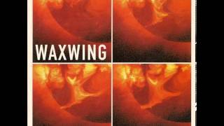 Waxwing - Manicotti