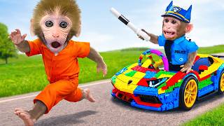 Bayi monyet Bonbon dikejar oleh polisi monyet