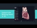 Explore the beating heart in 3d on complete anatomy