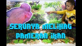 Download Lagu Https Www Youtube Com Watch V Wp4dsrkzyww MP3 Https Www Youtube Com Watch V Wp4dsrkzyww