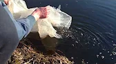 Голенищев. RU