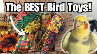 Unboxing the BEST Bird Toys from Planet Pleasures | BirdNerdSophie AD by BirdNerdSophie 1,300 views 8 months ago 8 minutes, 17 seconds
