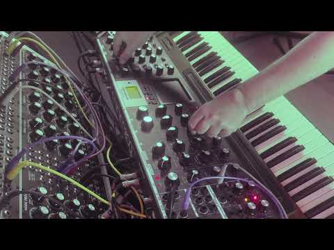 moog seq short