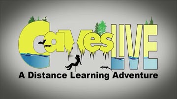 Introduction to CavesLIVE: A Distance Learning Adventure from Luray Caverns