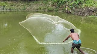Amazing Net Fishing - Fish Catching Using by Cast net in the Village Beautiful Pond