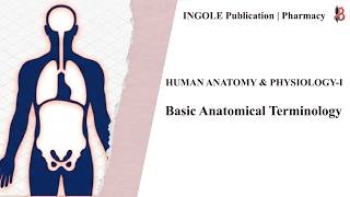 Basic Anatomical Terminology | Human Anatomy &amp; Physiology-I | B.Pharm | D.Pharm