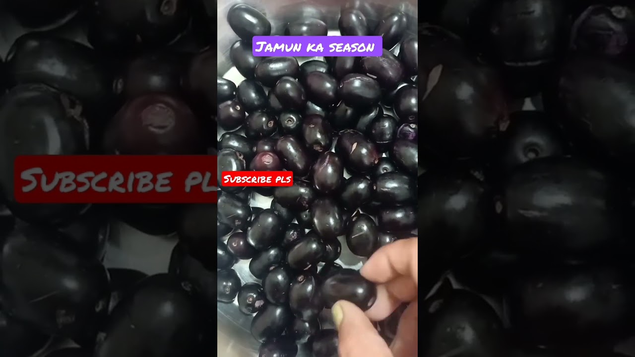 ताजे ताजे जामुन खट्टे मीठे जामुन