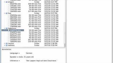 Real Time Emotion Recognition from Speech